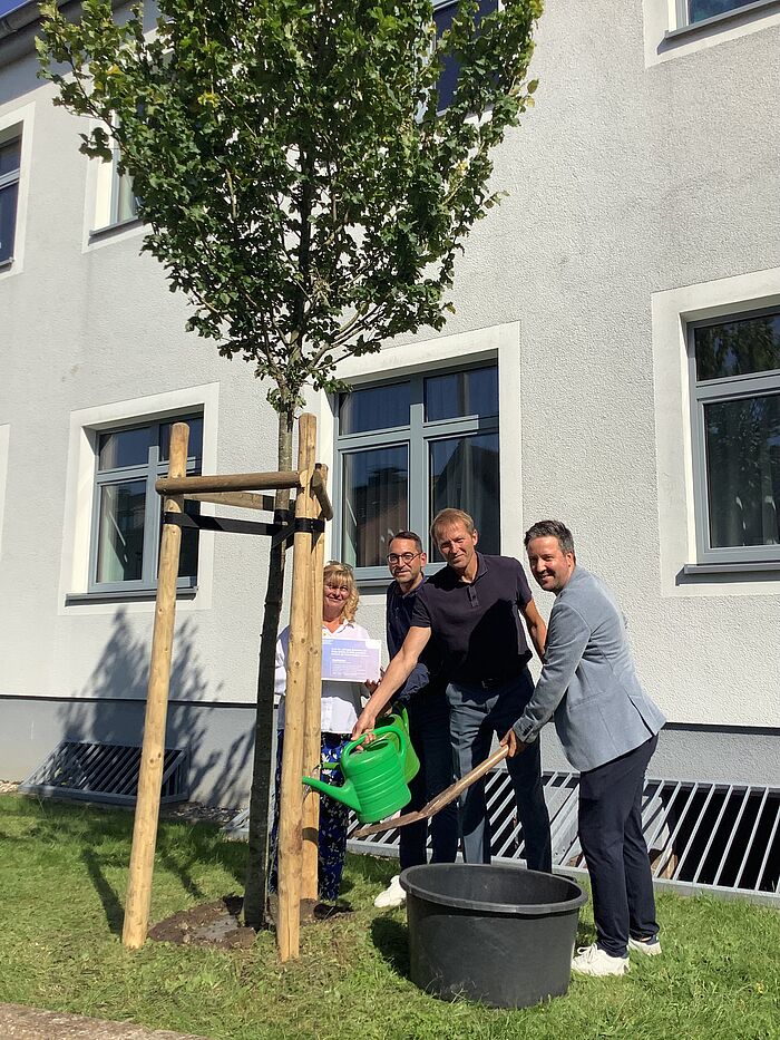 Vier Menschen pflanzen einen Baum und gießen ihn.