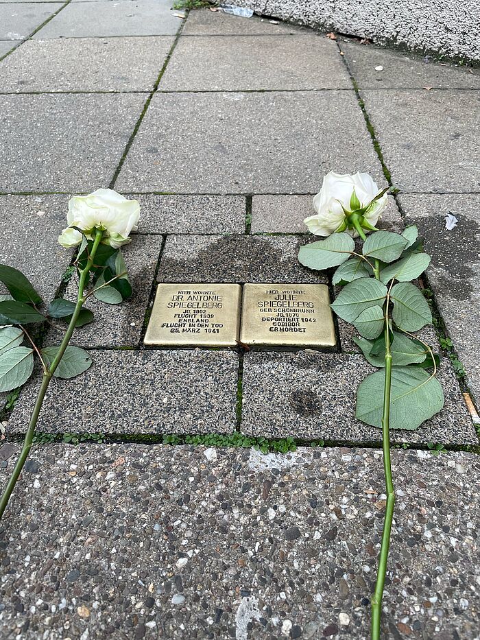 Zwei weiße Rosen rahmen zwei Stolpersteine ein.