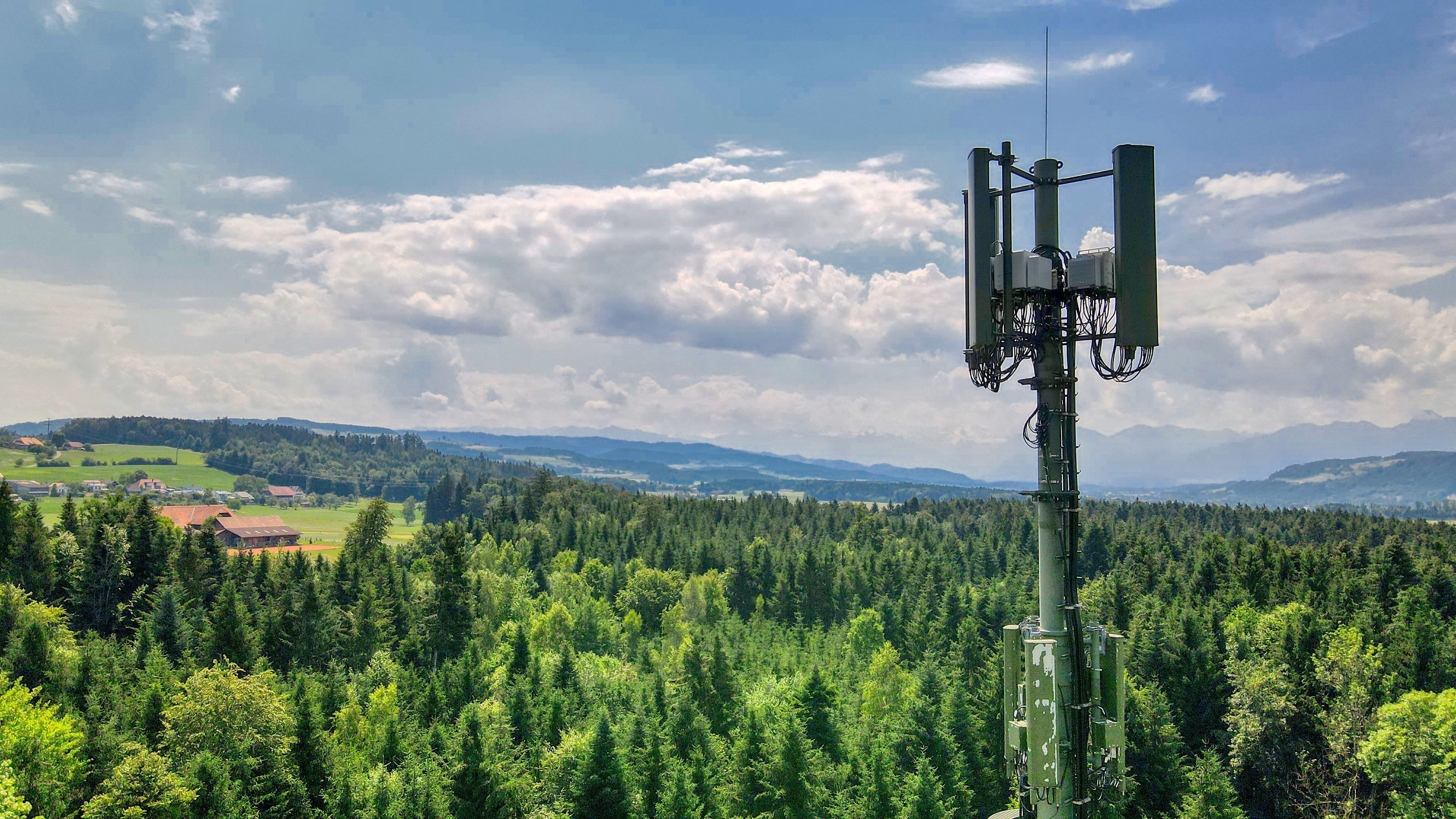 Mobilfunkmast_Wald